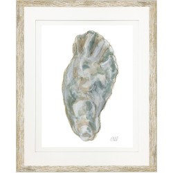 KS- OYSTER SHELL 10
